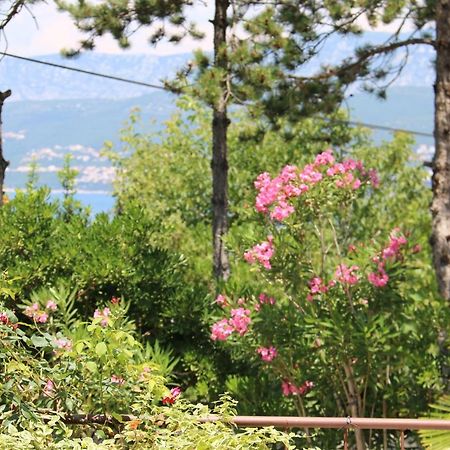 Apartments Grskovic G. Jesenovica Šilo Екстериор снимка