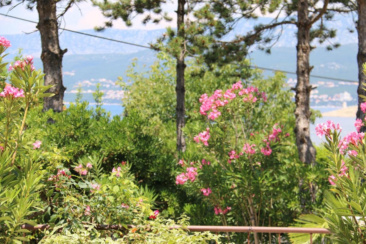 Apartments Grskovic G. Jesenovica Šilo Екстериор снимка